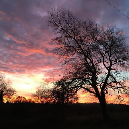 Villa Shires Rest Sturminster Newton Esterno foto