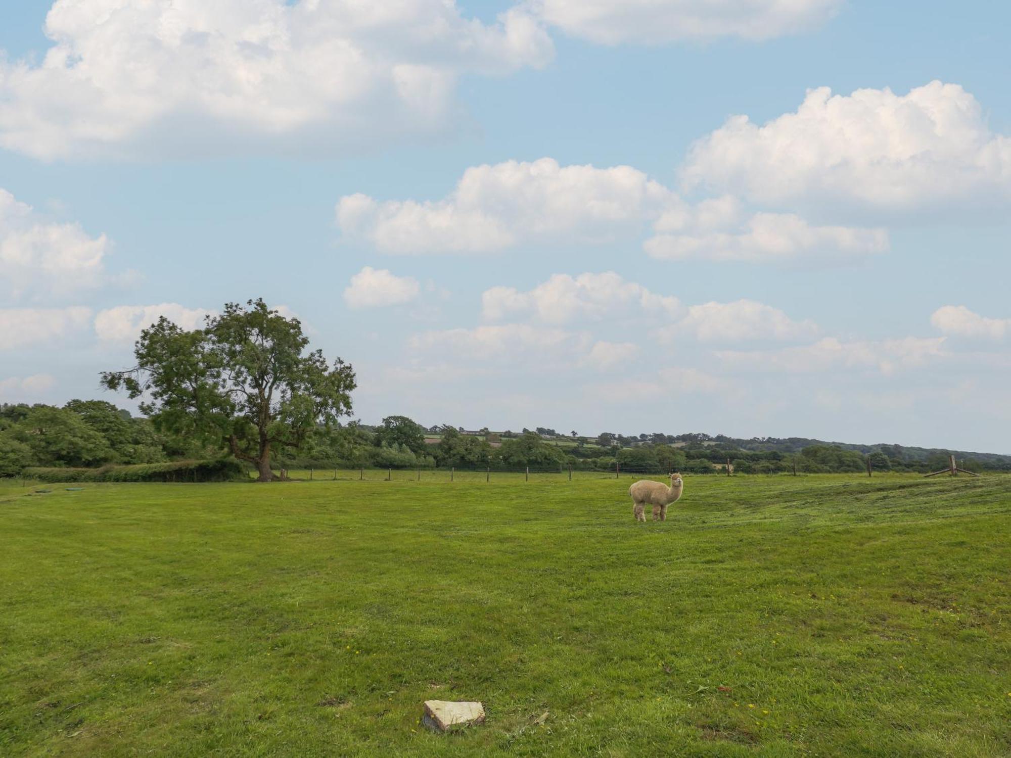 Villa Shires Rest Sturminster Newton Esterno foto